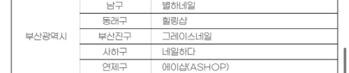부산광역시 남구 별하네일 우수업체 명단 캡처